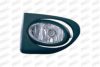 PRASCO HD0384414 Fog Light